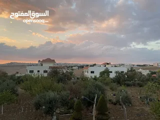  3 ‎اراضي للبيع منطقة السرو مقابل جامعة عمان الاهليه
