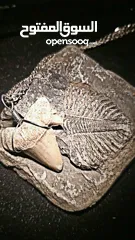  5 قلادة من الفضة الإيطالية مع أحفورة أسنان القرش القديمة ملفوفة بالأسلاك + سوار جلدي إضافي