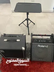  1 Roland PM100 Amp