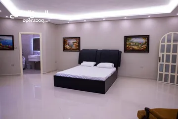  6 شقة مفروشة فاخرة بتصميم عصري اعلان رقم (L100)