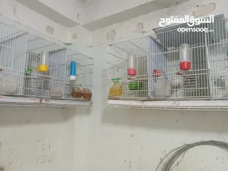  1 مطاير للبيع
