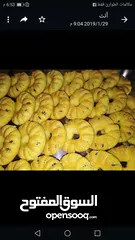  27 طعام جاهز بيتي