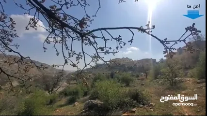  1 أرض لقطة في منطقة بدر الجديدة