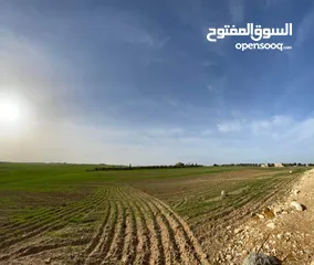  6 قطعة ارض للبيع جلول دونم 1000 متر مربع قرب التنظيم مباشرة شوارع مميزة