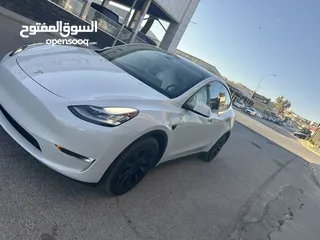  12 TESAL MODEL Y LONG RANGE DUILMOTOR 2023