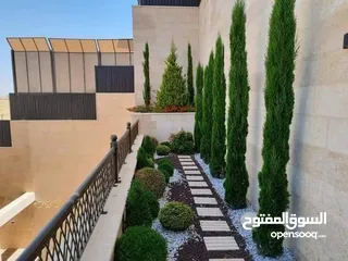  12 أشجار زينه - ورود - جميع الأصناف متوفره ( محلي - مستورد )