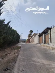  2 5 دنمات دخلة مطعم خيل وليل اكثر من قطعة