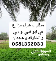  1 مطلوب شراء مزارع في ابو ظبي و دبي و الشارقه و عجمان
