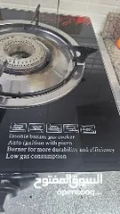  2 For Sale: Used Universal Electronics Gas Burner with Two burners