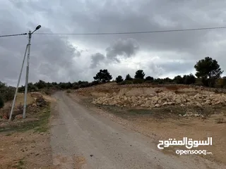  3 قطعة ارض في مدينة جرش (( البركتين )) مقابل مخبز الخبازون، على شارعين، للبيع من المالك مباشرة..