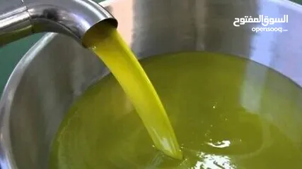  1 زيت زيتون بلدي انتاج السنه