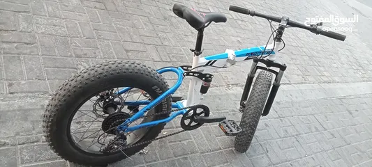  1 fat tire cycle