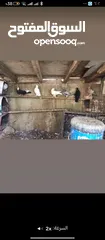  2 حمام للبيع 200 شيقل
