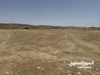 5 للبيع ارض في منطقة البحر الميت