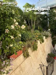  7 فيلا مفروشة سوبر ديلوكس اعلان رقم (V12)