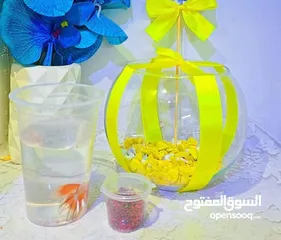  3 احواض سمك زينه بأحجام وأشكال مختلفة