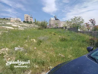  14 دنم و 44 م مقابل مضافة الدرادكة دنم ب القمة عالي