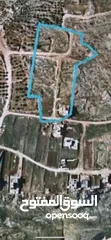  1 قطع اراضي في جبل المساكن الشعبيه نابلس