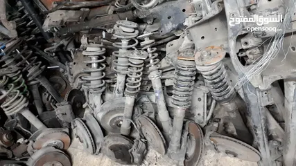  15 قطع بوز نمر