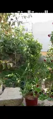  24 بيت ومنازل للبيع