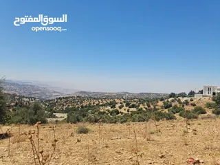  1 ارض للبيع 500 م في اجمل مناطق المملكه بدر الجديده (الغروس الغربي) على شارعين