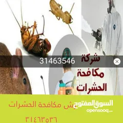  7 شركة مكافحة الحشرات