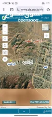  2 اراضي الراشديه