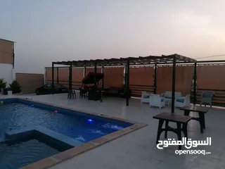  25 مزرعه اللؤلؤه