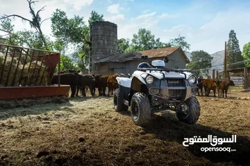  12 Kawasaki BRUTE FORCE 300