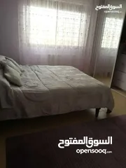  23 شقة مفروشه سوبر ديلوكس في ضاحيه الرشيد للايجار