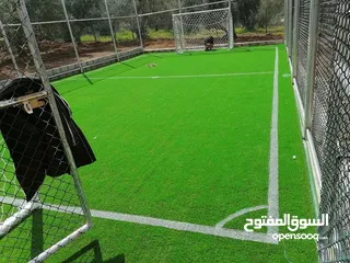  21 عشب ملاعب / عشب حدائق / عشب مدارس / عشب مزارع / عشب صناعي/ نجيل / تارتان Playground grass