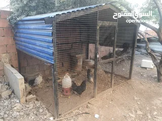  5 قفص للطيور يصلح لجميع الانواع