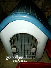  5 اكسسوارات قطط للبيع بحالة جيدة استعمال 6 اشهر.