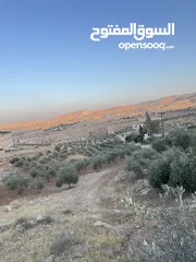  5 ارض مرتفعه للبيع