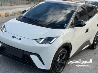 26 بس واي دي سيجول 305k 2023