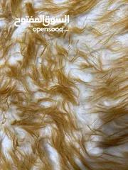  3 غرفة برايڤت