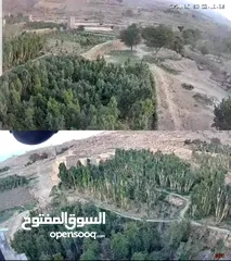 9 كاميرا واي فاي عدستين في عدسة دقة 9 ميقا بكسل عدستين عدسة ثابتة وعدسة متحركة 360 درجة تحفظ لاذاكرة و