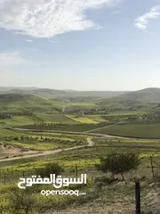  4 أرض بسعر مغري