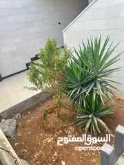 10 شقة فاخرة للبيع في عمان- ام السماق