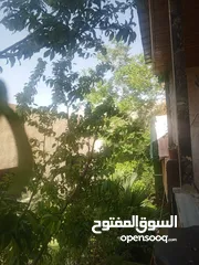  2 شقة مميزه للبيع بسعر مغري عين الباشا