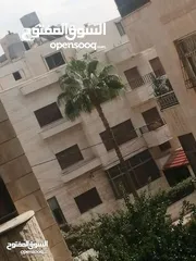  1 غرفة وصالة فارغ  الموقع ضاحيه الرشيد