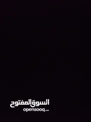  1 البحث عن ارانب عمانيه بريال