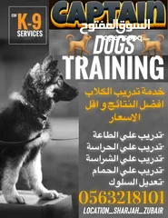  2 خدمة تدريب الكلاب آفضل النتآئج و آقل الأسعار