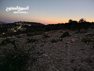  16 ارض للبيع 4300م على القوشان وعلى الواقع 12دونم متواجد بيت مساحة 380 متر طابقين +خزان يتسع50 متر