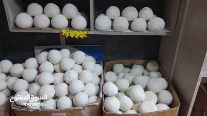  19 جميد كركي سمنه بلدي جبنة غنم
