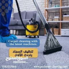  1 offer professor cleaning