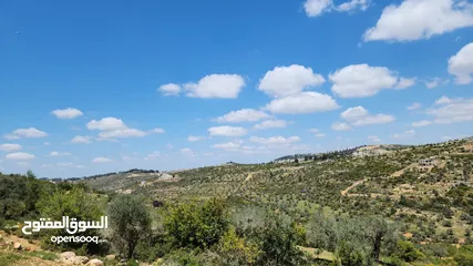  1 كوبر / ارض للبيع  على من المالك مباشره