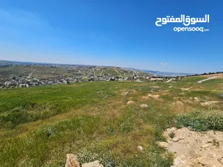  2 أرض سكنية 750 م للبيع في ام رمانه - 900 م عن شارع الأردن