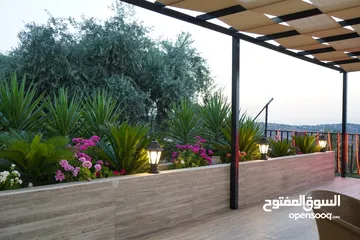  15 مزرعة بلاك سوان للايجار-Black Swan Farm
