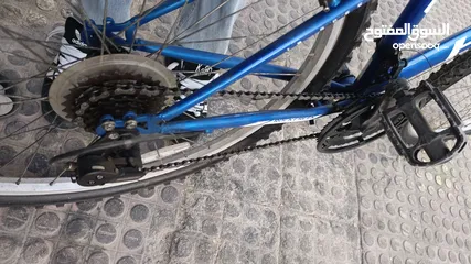  6 بسكليت امريكي